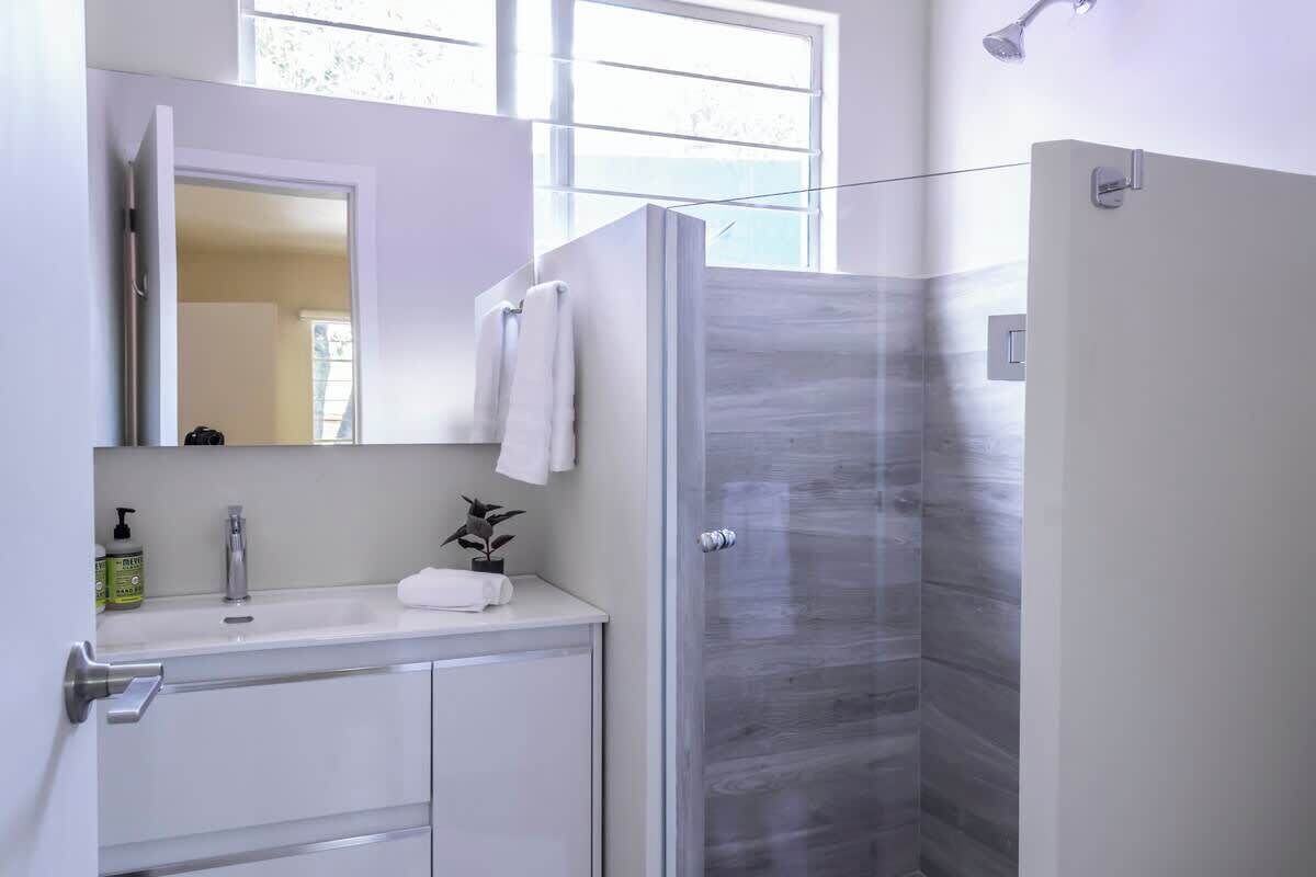 Shower, hair dryer, towels
