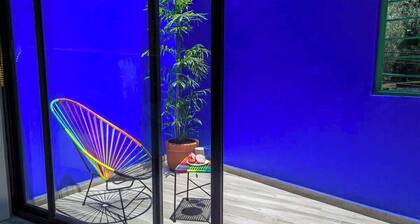 Dazzling house in Coyoacan