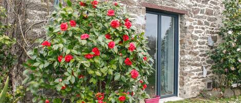 تفاصيل الفندق من الخارج