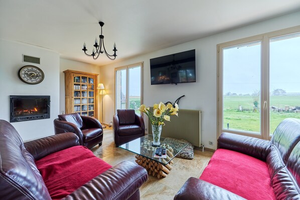 Télévision, cheminée, chaîne hi-fi