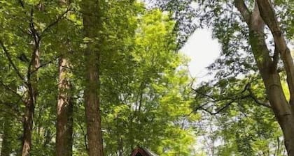 Harbor Springs Vacation Rental-