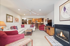 TV, fireplace, books