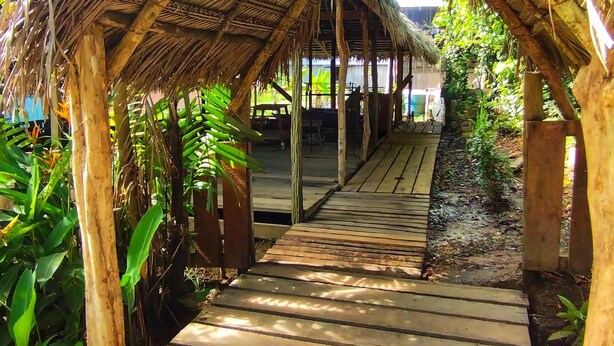 A wooden pathway leading to a thatched-roof structure surrounded by lush greenery. - Hospedaje  Reina Arriera Amazonas  (Leticia)