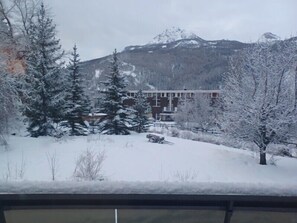 Vue depuis l’hébergement