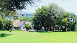 A residential area with a house, a lawn, and trees.