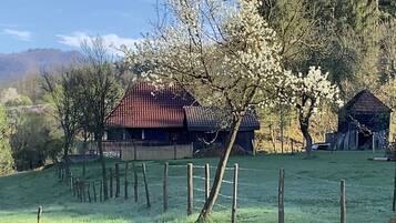 Terrein van de accommodatie