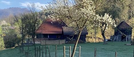 Terrein van de accommodatie