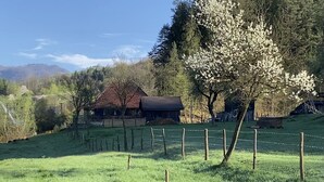 Ländliche Landschaft mit einem Bauernhaus, einem eingezäunten Feld und einem Baum mit weißen Blüten.