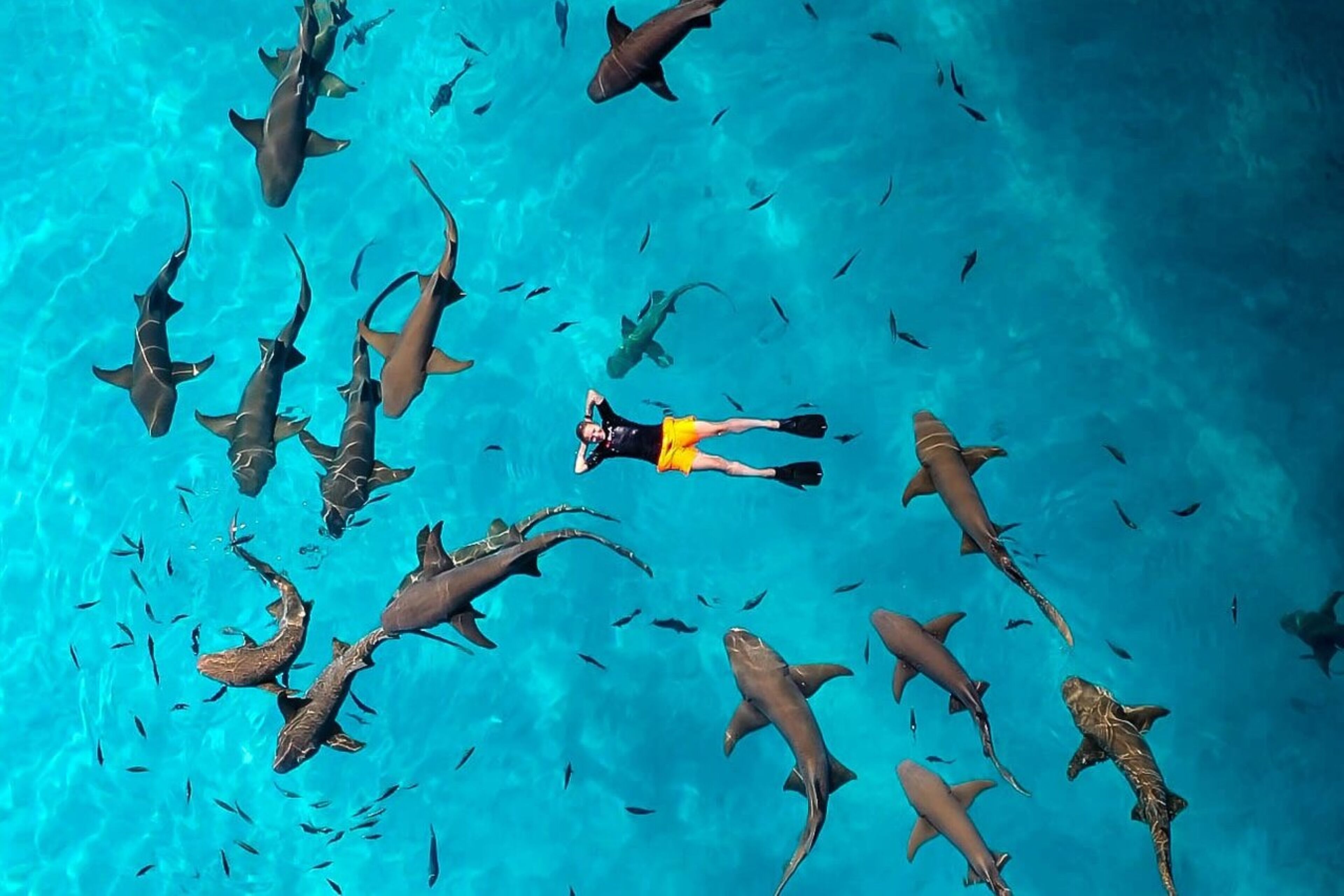 Photo - Madi Grand Maldives