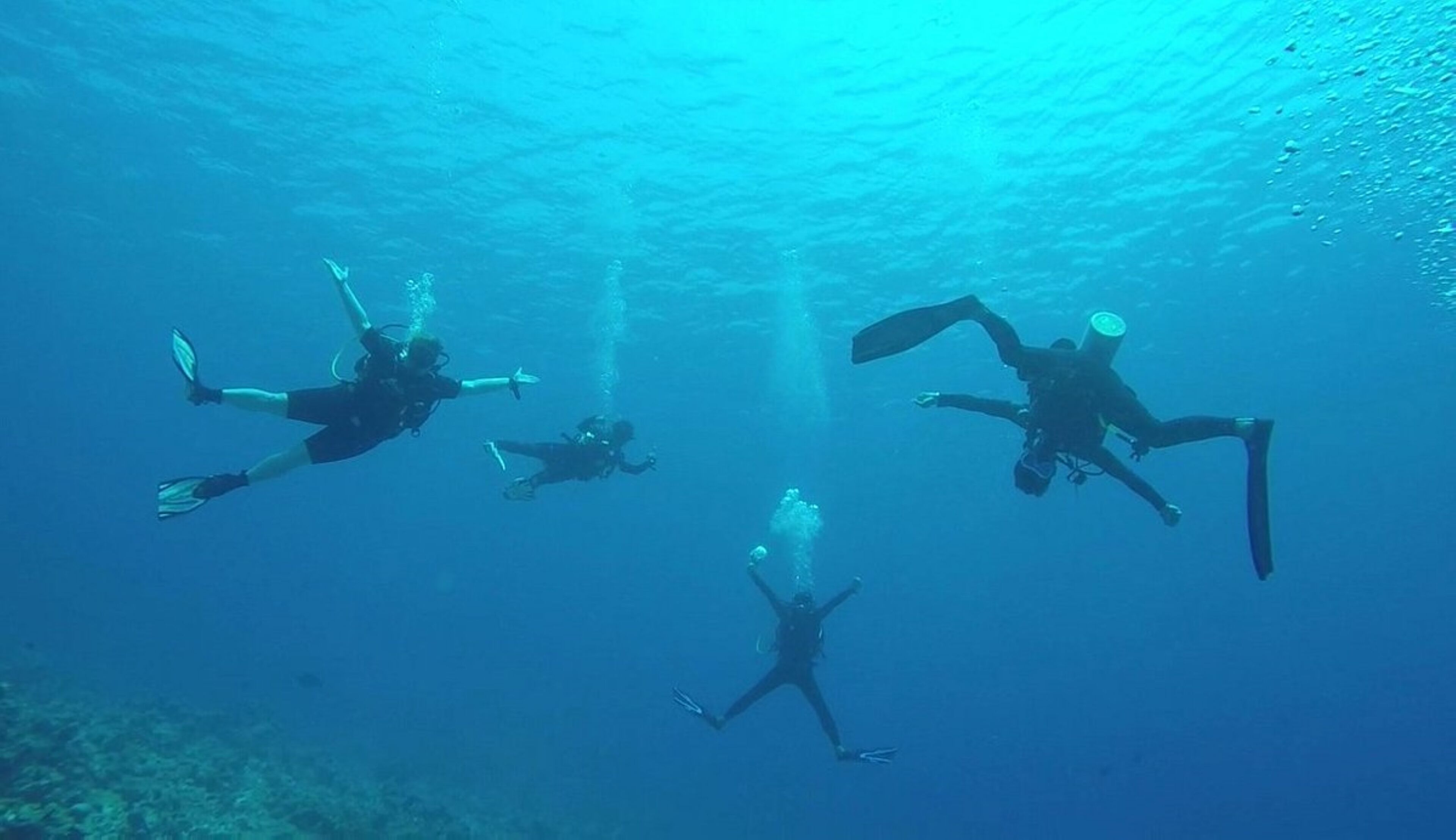 Cuatro buzos bajo el agua en un océano azul cristalino.