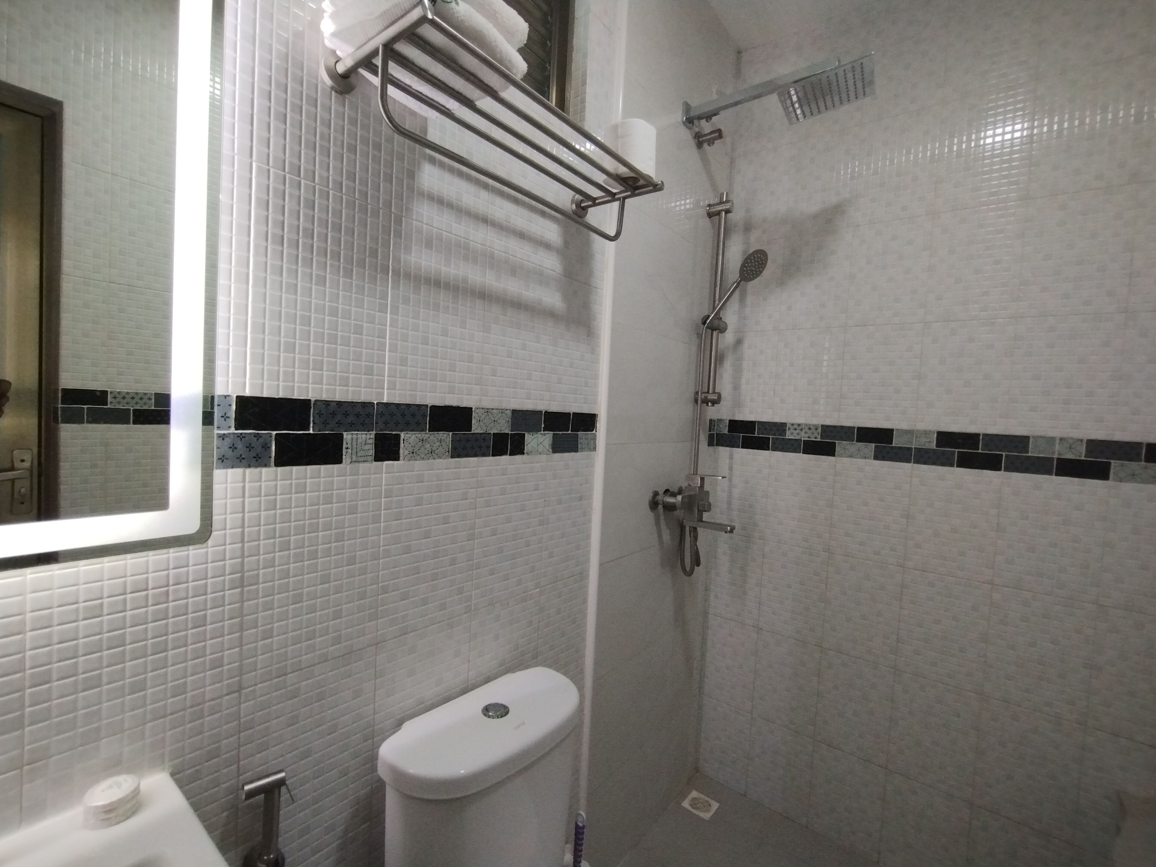 A bathroom with a toilet, a shower with a handheld showerhead, and a towel rack.