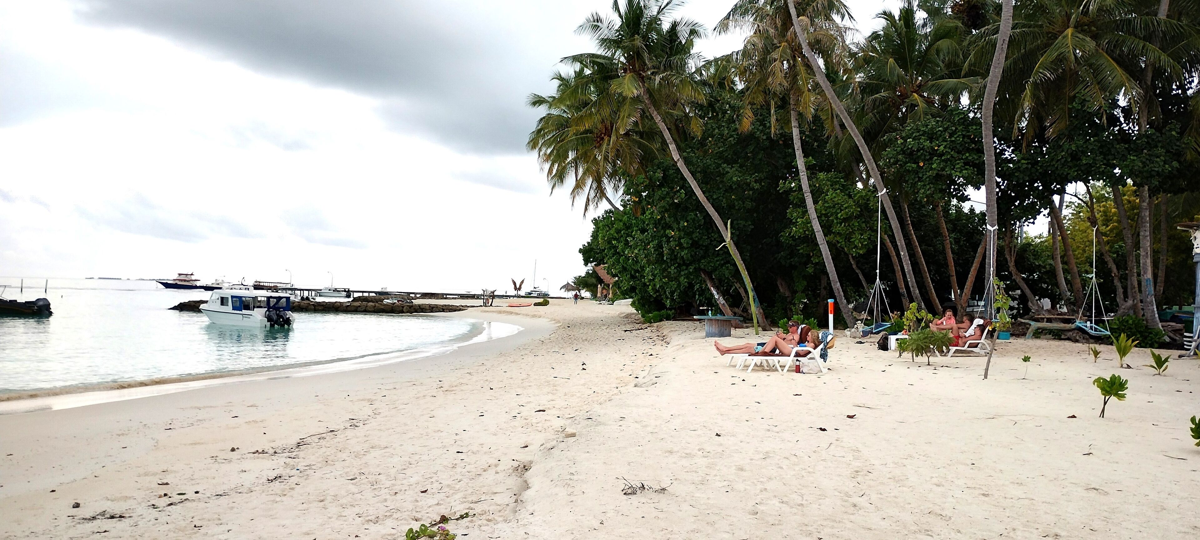 Una playa con palmeras, un barco y un muelle.