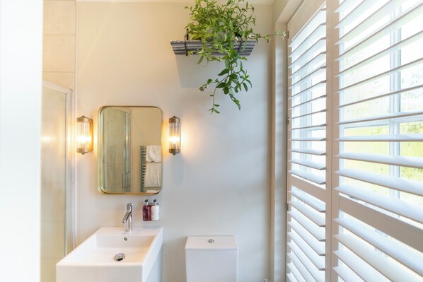 A bathroom with a white sink, a mirror, and a hanging plant.