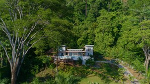A modern house surrounded by dense greenery and palm trees.