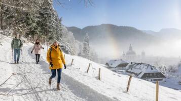 Wintersport/Ski