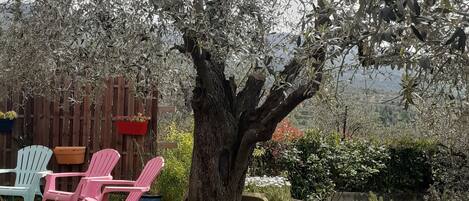 Overnattingsstedets uteområder