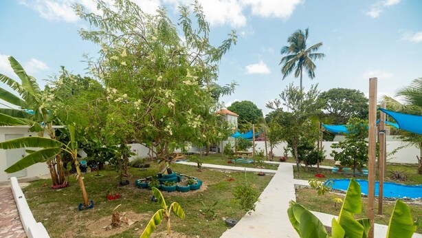 A garden with various plants, a pathway, and a small pool area. - Studio #3 Anacaona w/ Garden- Guayacan Guesthouse (Vieques)