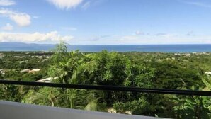 A balcony with a view of a coastal landscape, including greenery and a distant shoreline. - Oceanview Apartment & Garden (Vieques)