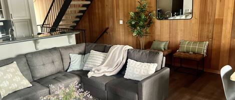 Smart TV, fireplace, books