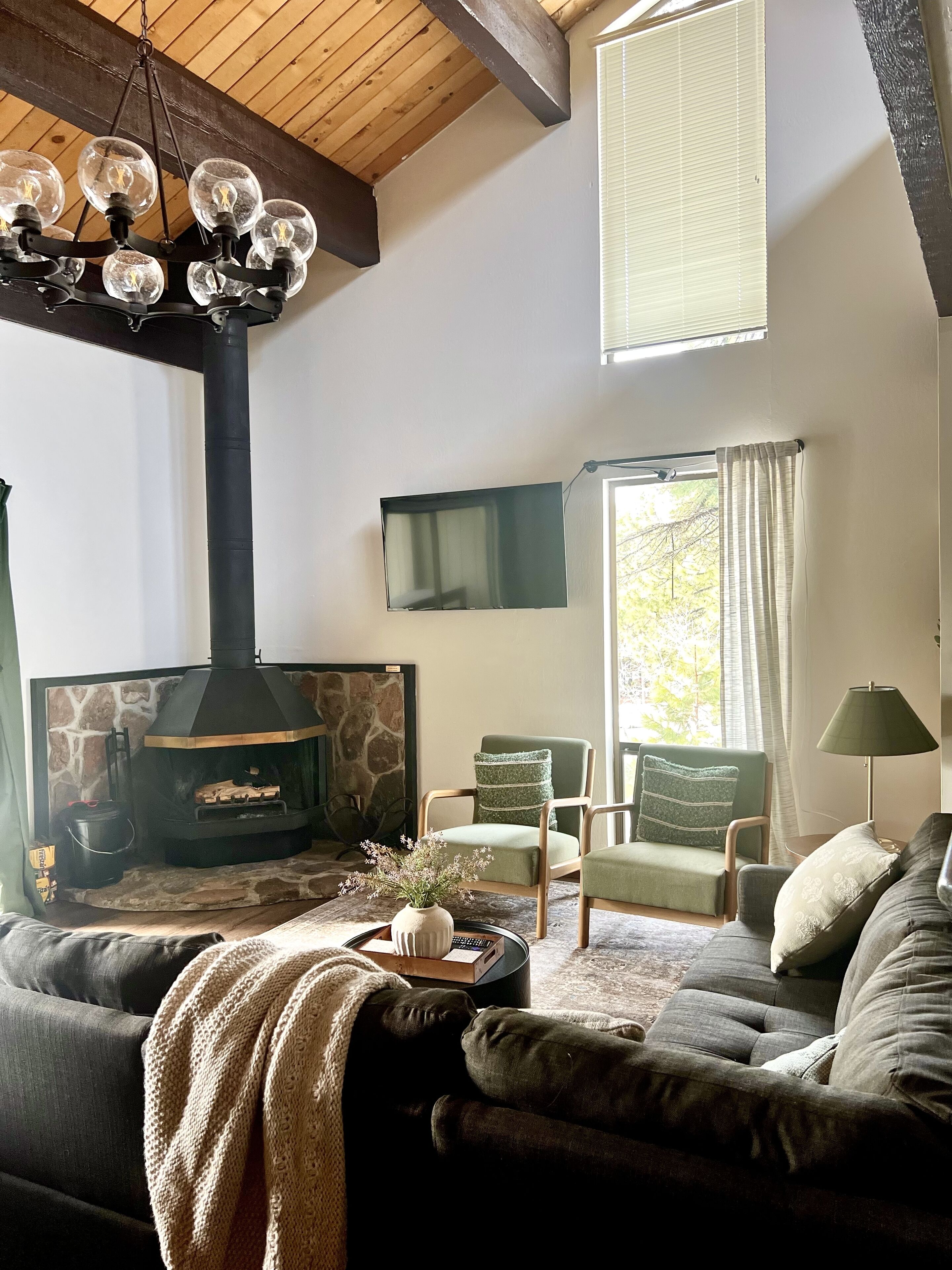 Smart TV, fireplace, books