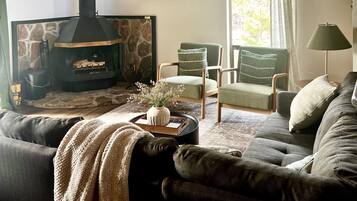 Smart TV, fireplace, books