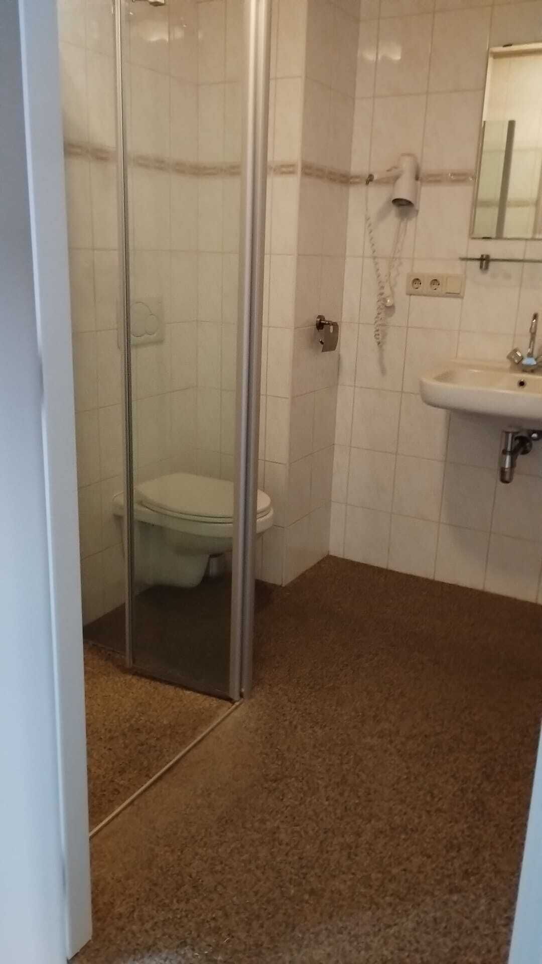 A bathroom with a glass shower enclosure, a toilet, and a sink with a mirror above it.