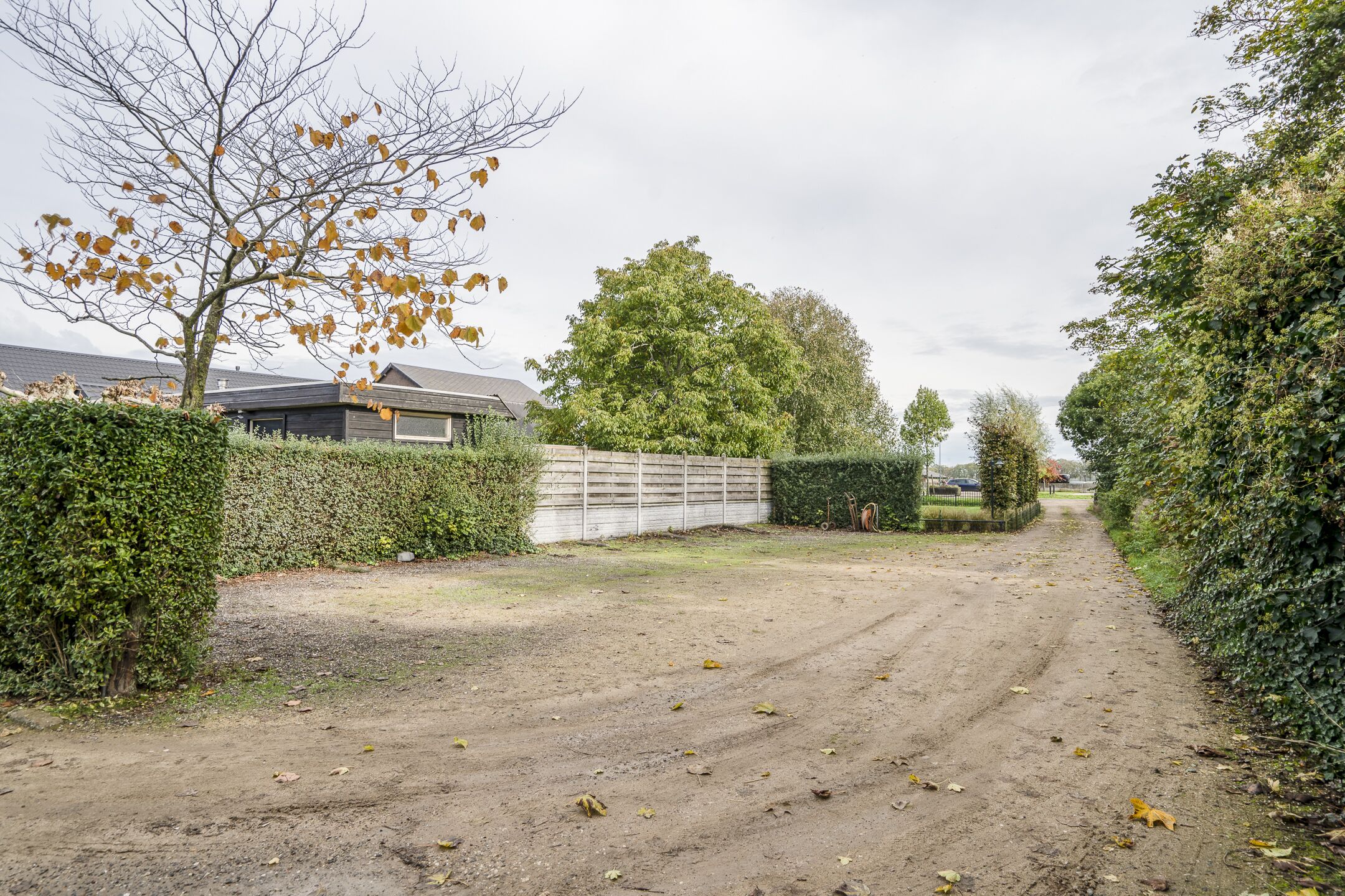 En støvet sti, der fører til et boligområde med et hus, en hæk og et træ.