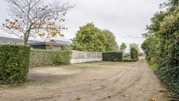 En støvet sti, der fører til et boligområde med et hus, en hæk og et træ.