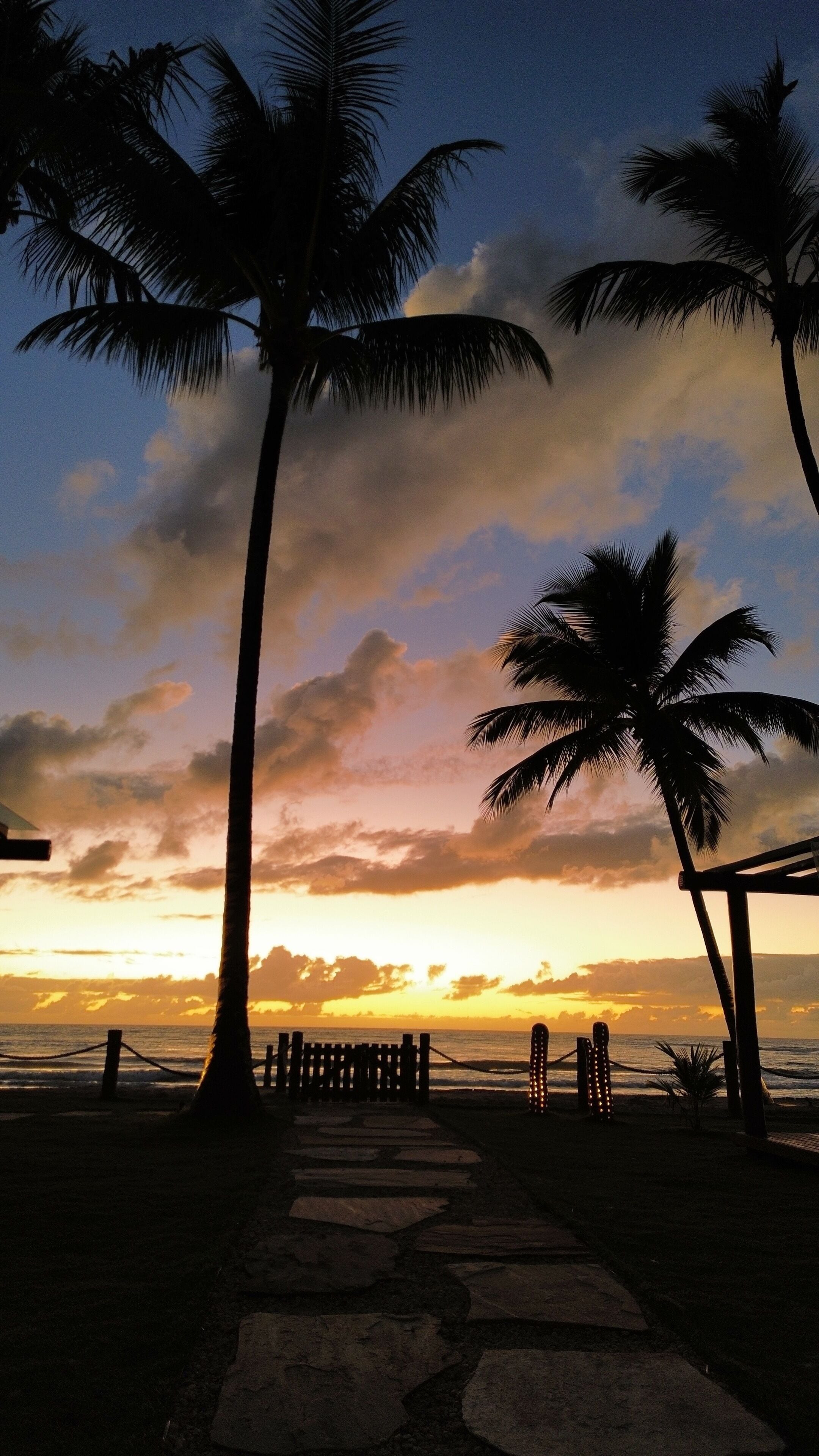 A sunset view with palm trees and a stone pathway leading to the beach.