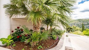 A landscaped garden with a palm tree, red flowers, and various shrubs. - Villa Diana: Bayside View Beauty - a romantic home
 (Dubrovnik)