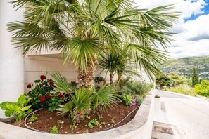 Property grounds - Villa Diana: Bayside View Beauty - a romantic home
 (Dubrovnik)