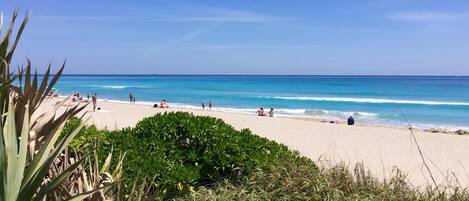 A beach with clear blue water, sandy shore, and some greenery in the foreground.