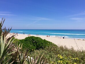 A beach with clear blue water, sandy shore, and some greenery in the foreground.