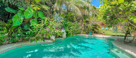 House, 1 Queen Bed (Flamingo Casita) | Pool