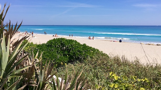 Una playa con agua azul cristalina, orilla arenosa y algo de vegetación al frente.
