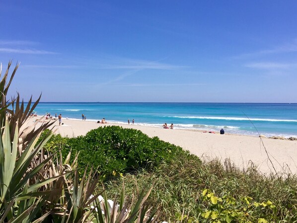 House, 1 Queen Bed (Flamingo Casita) | Beach - Flamingo Casita (West Palm Beach)