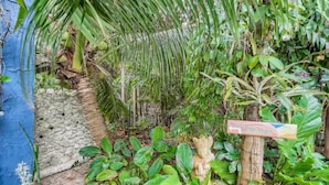 Un jardín exuberante con diversas plantas y un indicador de madera.