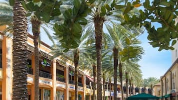 House, Multiple Beds (Nini's Cottage 4bd 3ba Vacation Renta) | Property grounds