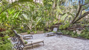 An outdoor patio with lounge chairs and a paved floor, surrounded by lush tropical plants and a large tree trunk. - Palm Beach Hotel (Palm Beach)