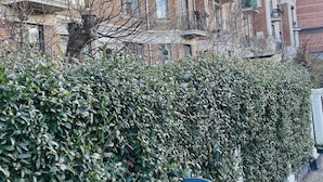 A row of residential buildings with balconies, a hedge in the foreground, and a blue chair.