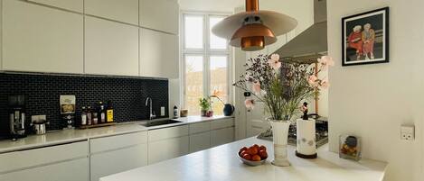 Fridge, oven, dishwasher, coffee/tea maker