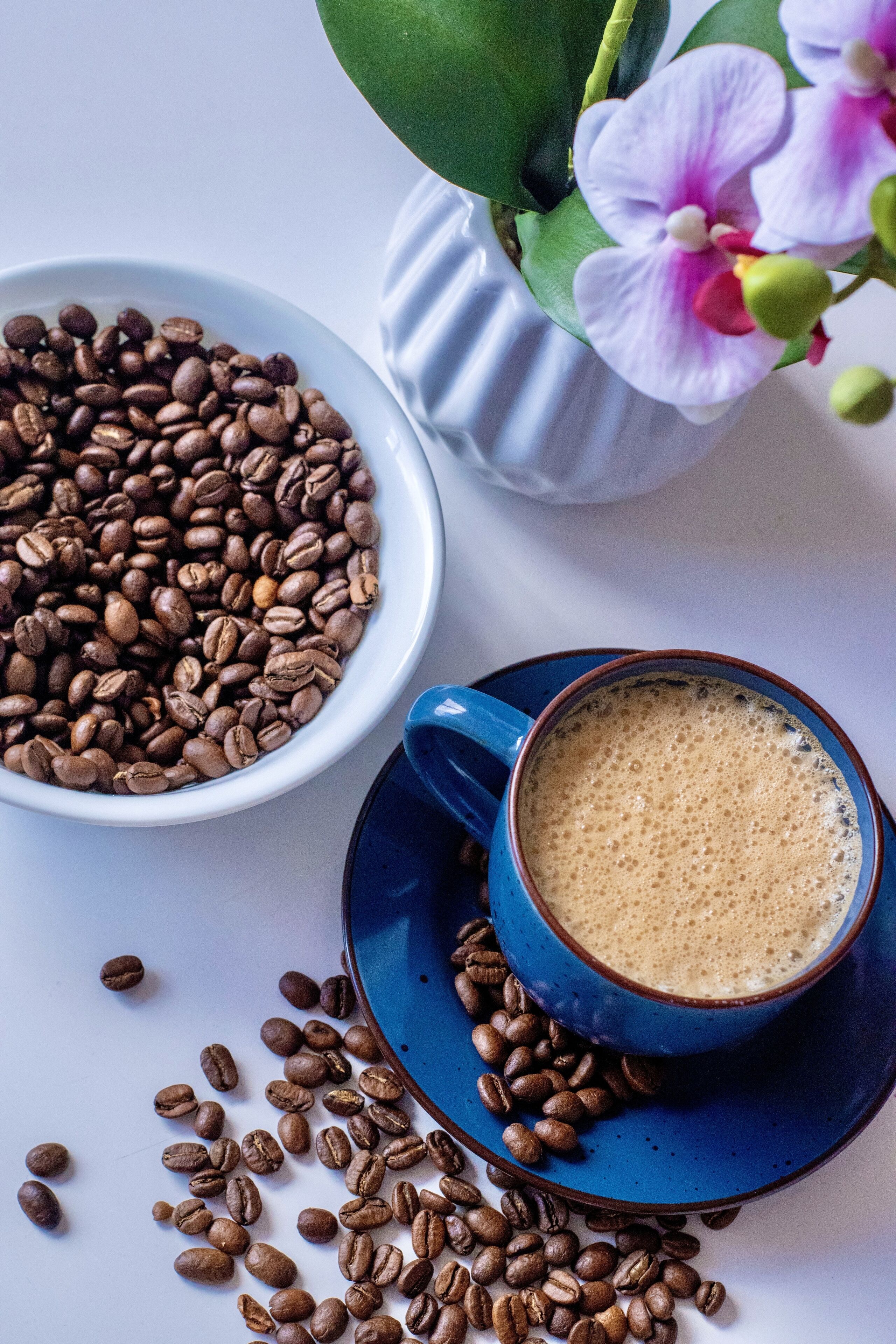 A white bowl filled with coffee beans, a blue cup of coffee, and a potted orchid.