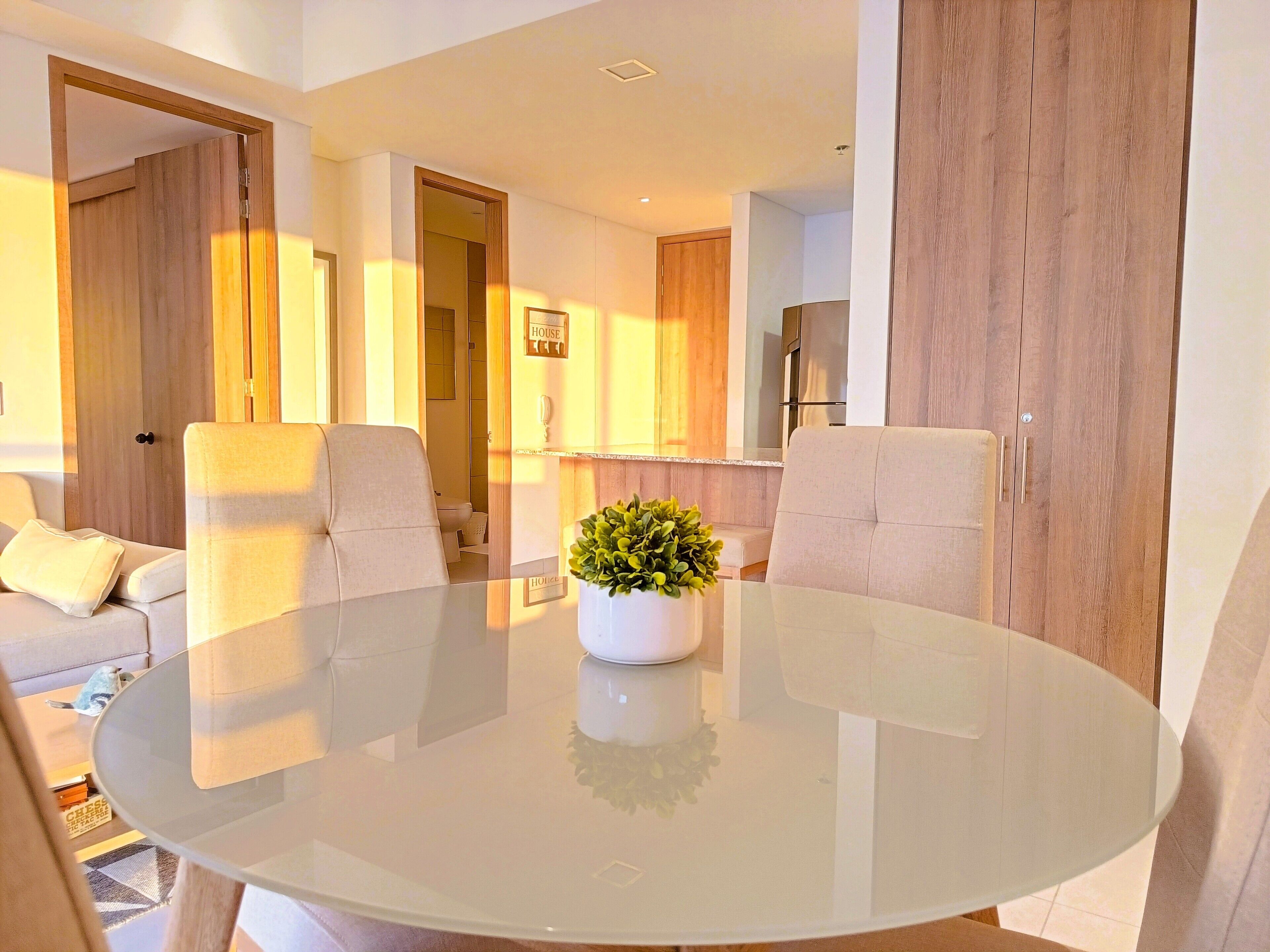 A modern living room with a glass-top dining table, two sofas, and a small potted plant.