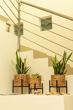 Reception - Ma-Jo Sayulita Hotel (Sayulita)