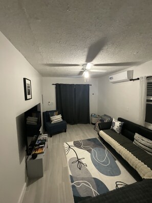 Smart TV, fireplace, books, stereo