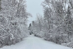 A snow-covered road flanked by leafless trees. - Spacious Colonial | Large Groups | Fire Pit (Brewer)