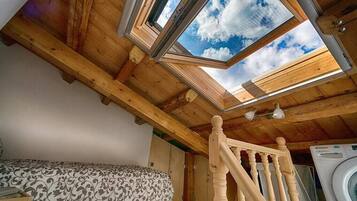 1 slaapkamer, een strijkplank/strijkijzer, wifi, beddengoed