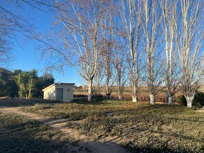 Property grounds - La Geneta Casa Vacacional Entre Viñas en el Penedés (CT)