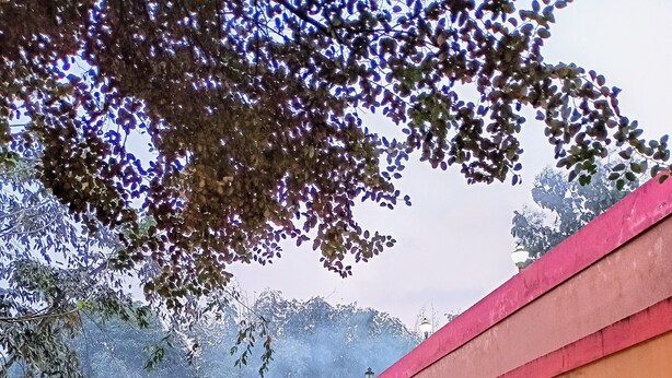Front of property - Lilawati's Blue Fox (Sonapur)
