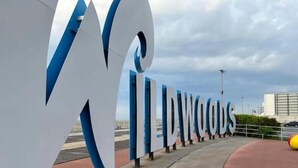 Große, weiße und blaue Buchstaben, die den Schriftzug „DOWOODS“ auf einem Bürgersteig bilden.